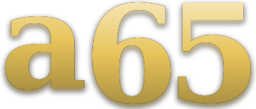 a65 logo